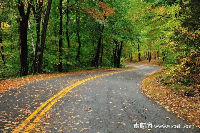 秋天铺满落叶的山间公路