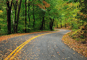 秋天铺满落叶的山间公路