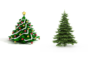 两颗圣诞树高清图片