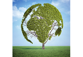 地球绿树环保概念图
