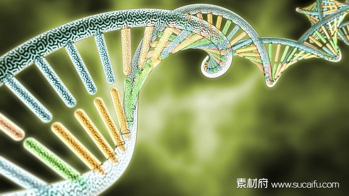 DNA螺旋结构概念图