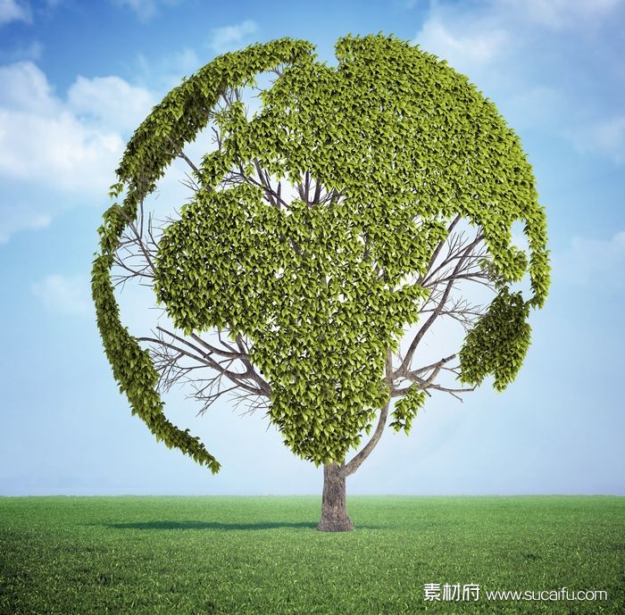 地球绿树环保概念图