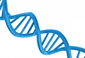 DNA螺旋结构模型