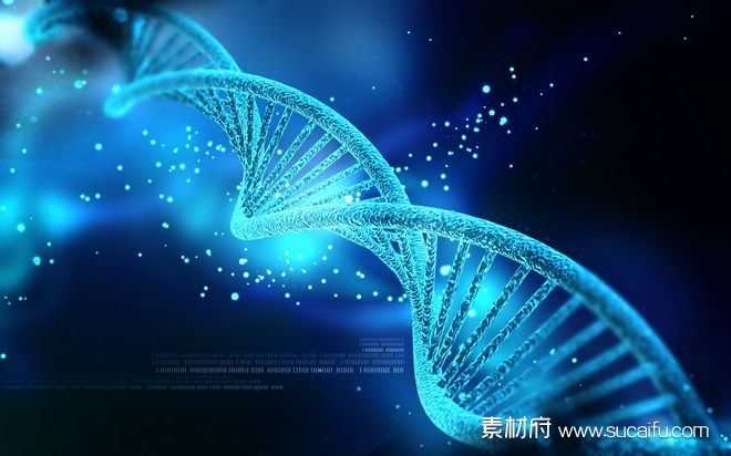 螺旋结构的DNA链条