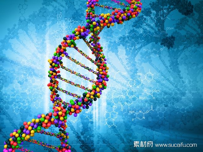 彩色粒子DNA螺旋式结构
