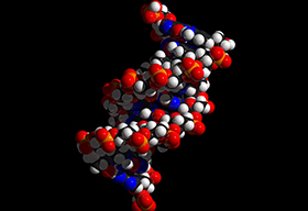 DNA模型高清图片特写