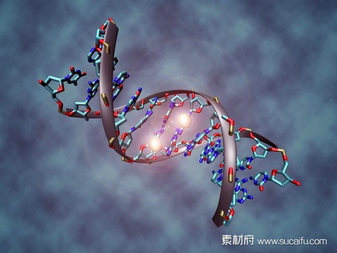DNA结构模型高清图片
