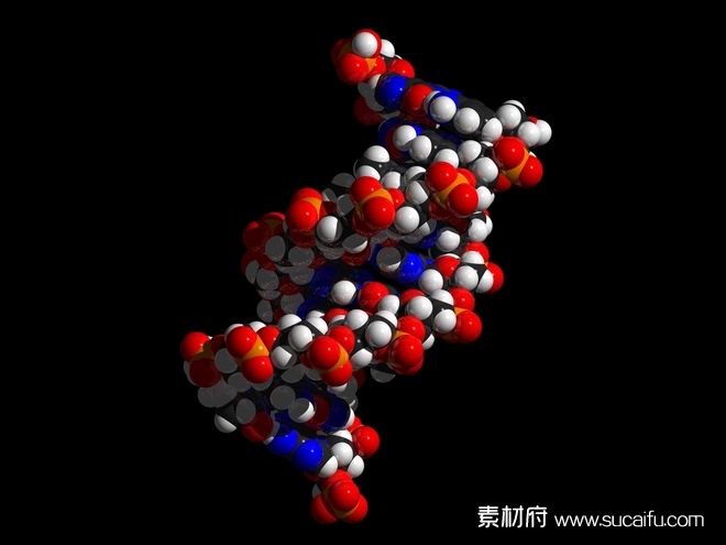 DNA模型高清图片特写