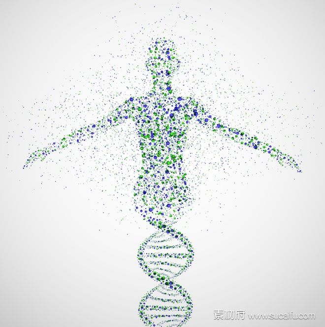 DNA与人体细胞概念图