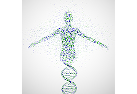DNA與人體細胞概念圖