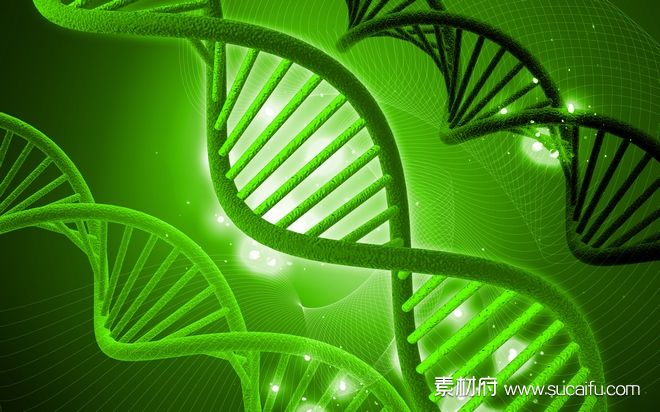 绿色的DNA螺旋结构