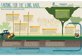 可持续发展保护耕地和地下水的数据图表设