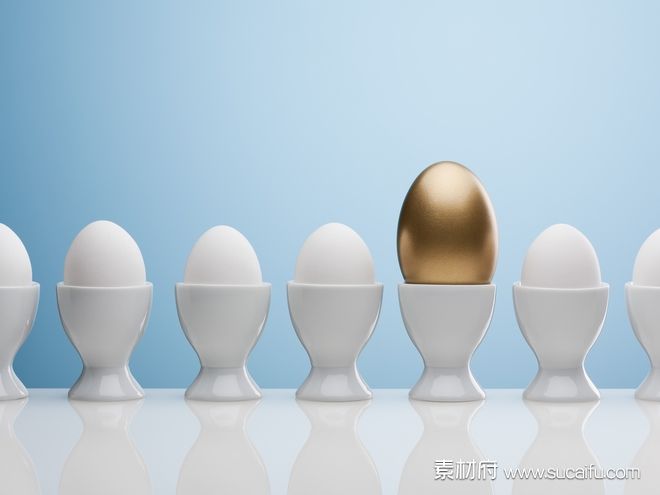 一排鸡蛋中的金蛋