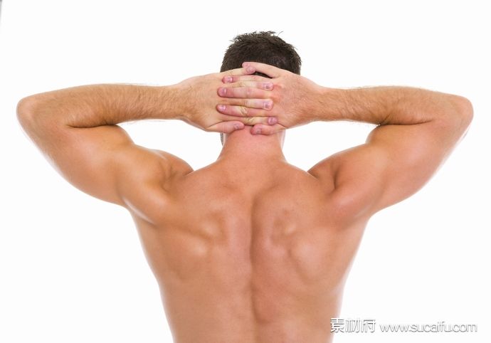 健身的男人背部肌肉展示